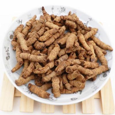 大量供应巴戟天杜仲两种药材
