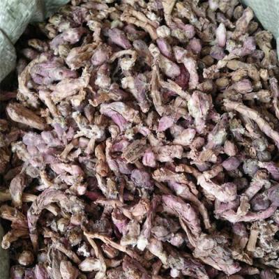甘肃优质精品冬花