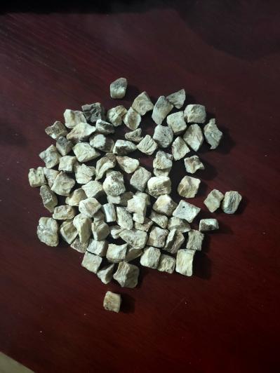菊苣根