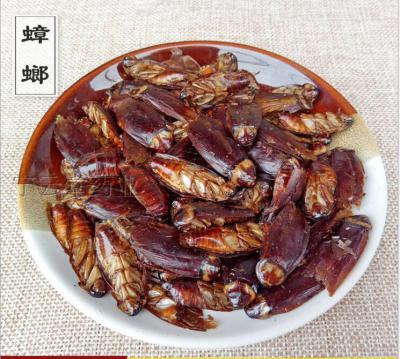 长期大量出售蟑螂