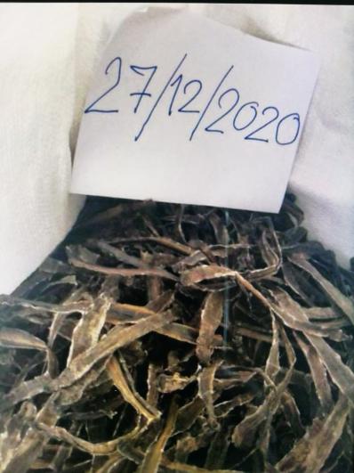 野生地龙干（全开）