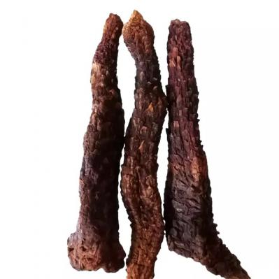 正宗阿拉善野生肉苁蓉 大芸锁阳