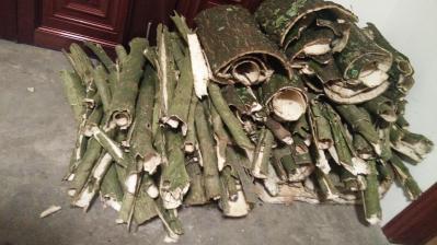 鲜杜仲皮
