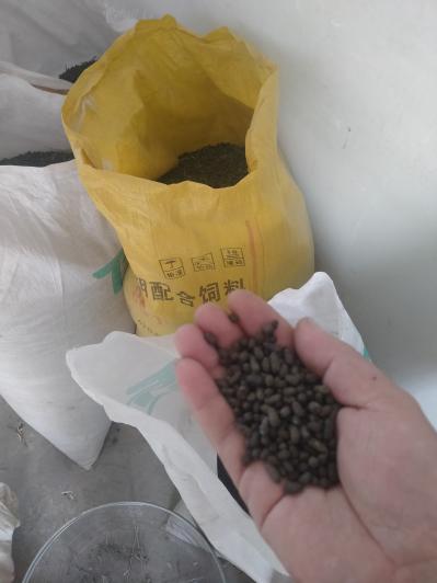 长年大量销售五灵脂