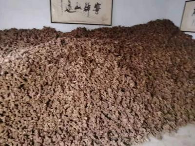 白术批发大小都有