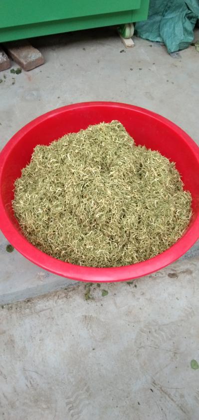 金银花（箱烤、日晒）