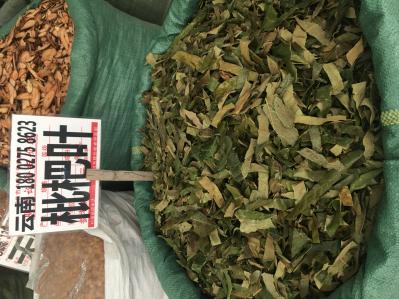 自产自销新鲜枇杷叶，量大从优