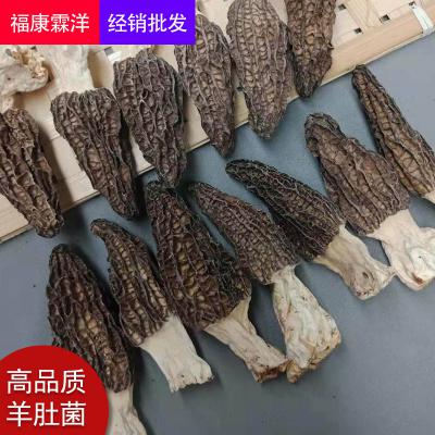 羊肚菌干货  阿里巴巴网店（福康霖洋）  产地直销  成都荷花池中药材专业市场