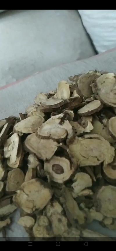 出售家种三年苦参片