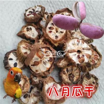 预知子