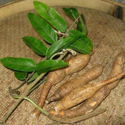 牛大力野生卖出