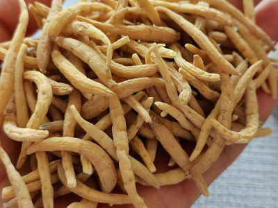 长年供应太子参，需要联系