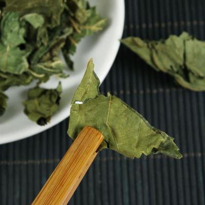 长期大量出售精品干桑叶（不超标）