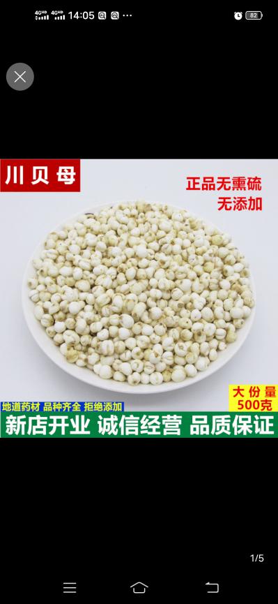 川贝母大量出售