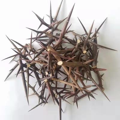 大量低价出售野生皂角刺
