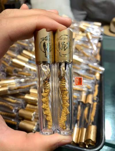 正宗西藏那曲冬虫夏草四川冬虫夏草青海玉树各种礼盒装