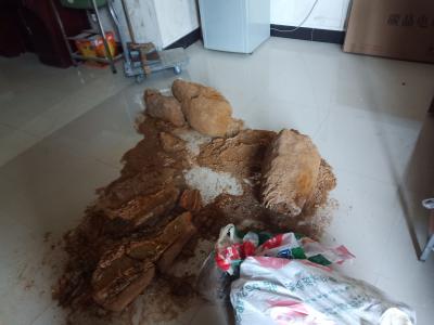 出售五花龙骨