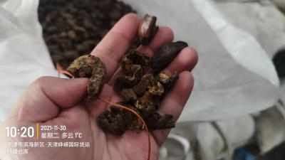 中药材诃子肉