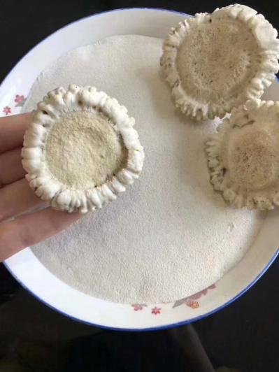 梅花鹿鹿角帽鹿托盘 多少钱去哪里买