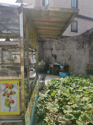 石菖蒲