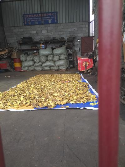大量三颗针干货，现货找买家