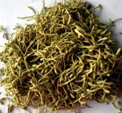 金银花