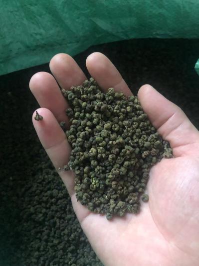 中花吴茱萸