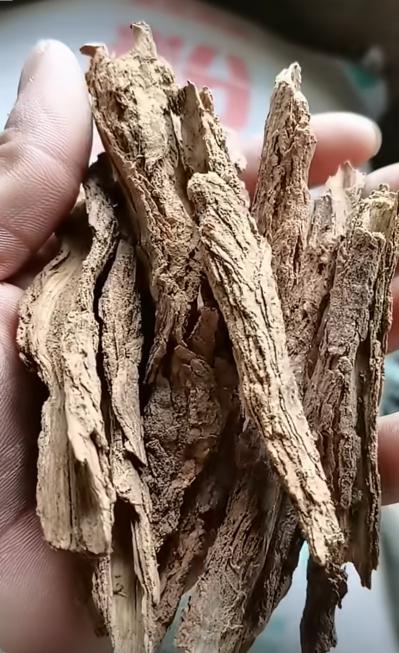 大量批发 零售地骨皮