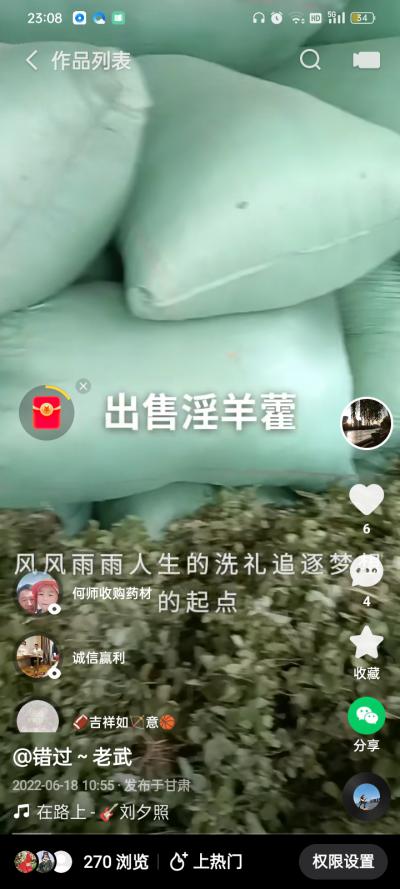甘肃原产高含量小圆叶淫羊藿