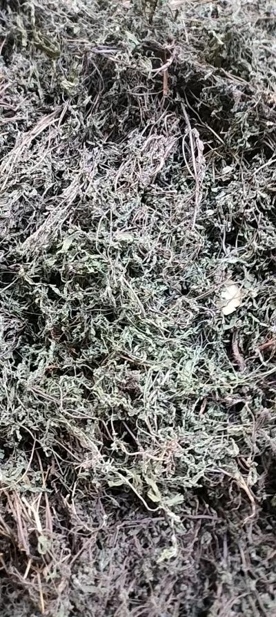 三吨干旱莲草出售