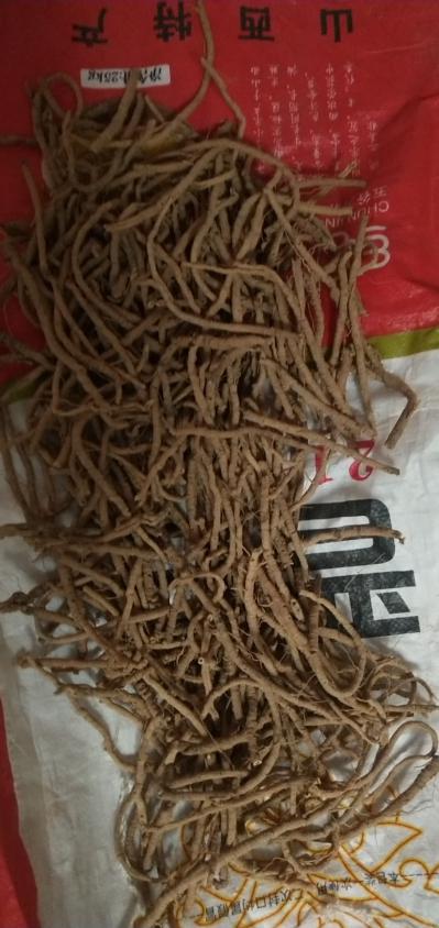 远志茼