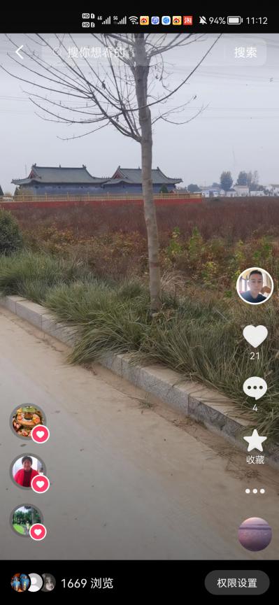 虎杖