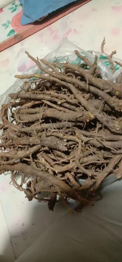 内蒙3年生黄芩大量出售 来个老板带价拉走