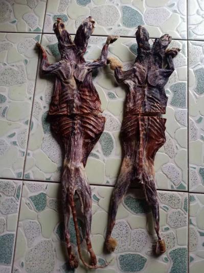 黄鼠狼阴干肉,养殖商家