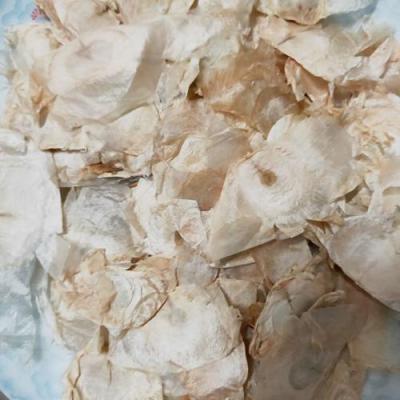 缅甸木蝴蝶优质货