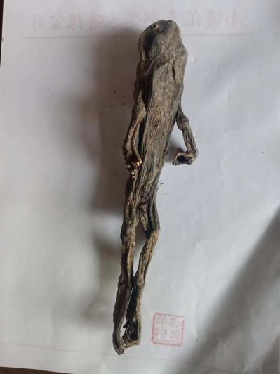 蟾蜍,癞蛤蟆,蟾干,干蟾蜍, 干蟾各卖多少钱一斤