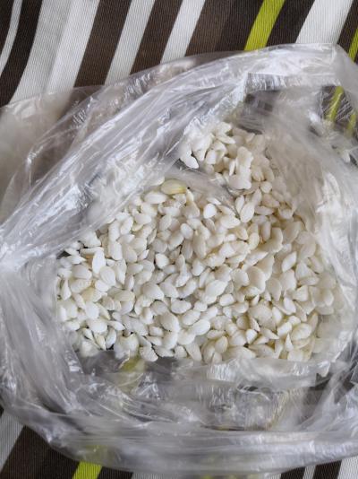 大量供鱼脑石