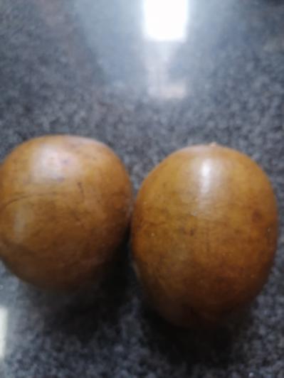 罗汉果干果
