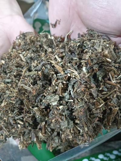供应红车轴草产地批发零售