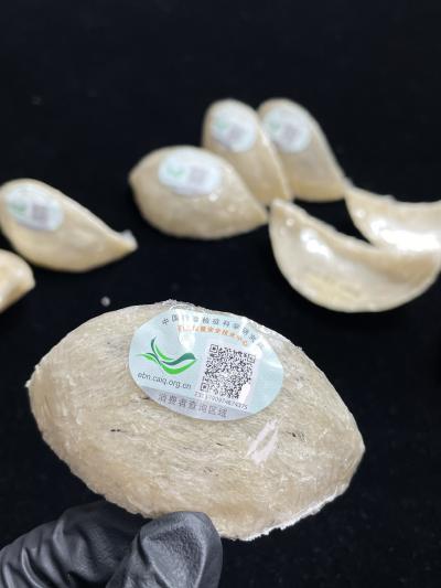 溯源码燕窝 马来燕窝燕盏