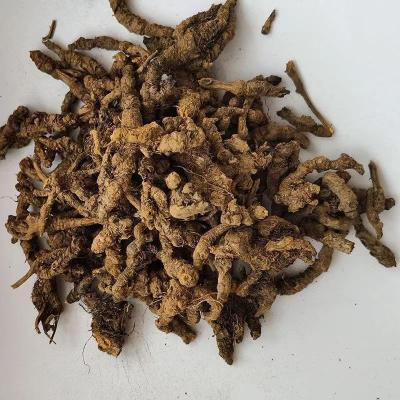 出售干湿黄连（自家高山种植）