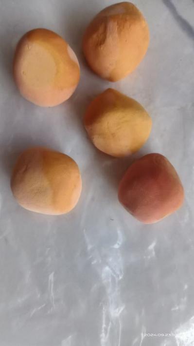 祖传牛黄6斤出售，有意联系