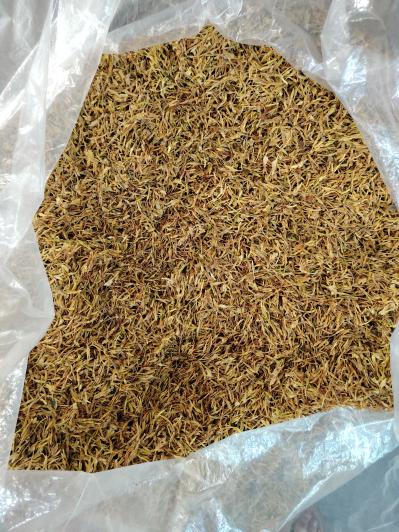 素馨花供求