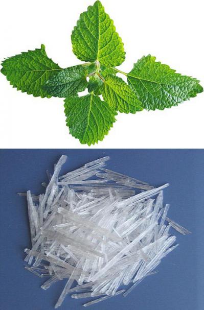 天然薄荷脑 薄荷冰 薄荷醇