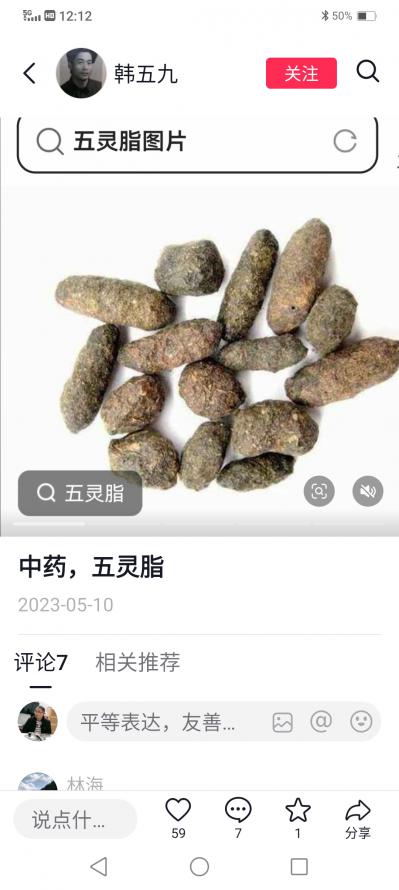 野生五灵脂