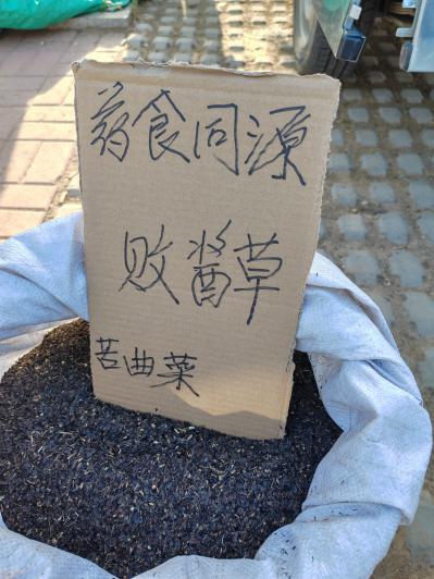 败酱草子