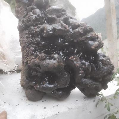 精品猴结2吨