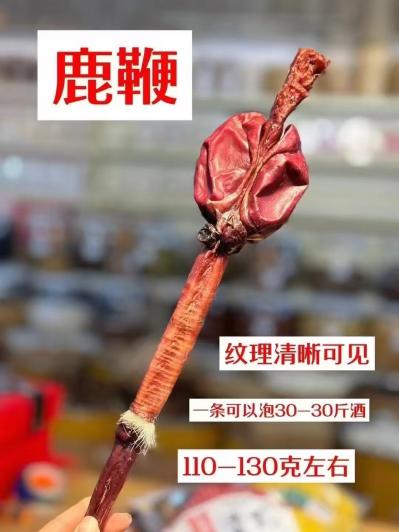 鹿鞭