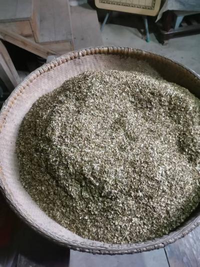 精选优质白花前胡种子