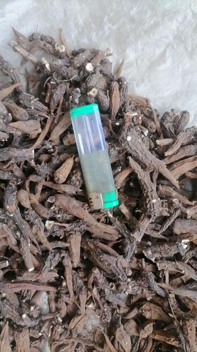 出售东北草乌